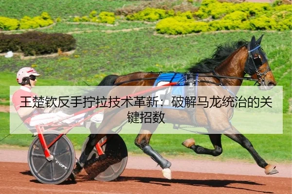 王楚钦反手拧拉技术革新：破解马龙统治的关键招数 | kaiyun